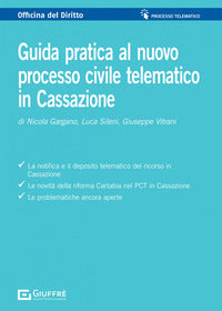 Guida pratica al processo civile telematico in cassazione 