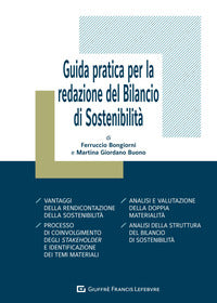 Guida pratica per la redazione del bilancio di sostenibilita' 