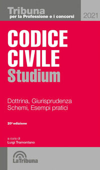 Coice civile 2021 studium - dottrina giurisprudenza schemi esempi pratici