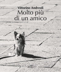 Molto piu' di un amico 