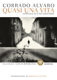 Quasi una vita - giornale di uno scrittore 
