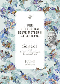 Per conoscersi serve mettersi alla prova - l'ira. la costanza del saggio la provvidenza 