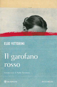Garofano rosso 