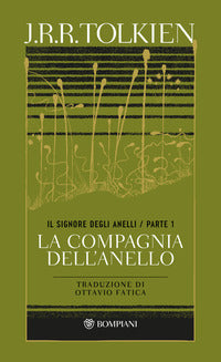 Signore degli anelli la compagnia dell'anello 