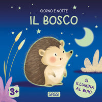 Bosco - giorno e notte 