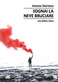 Sognai la neve bruciare 