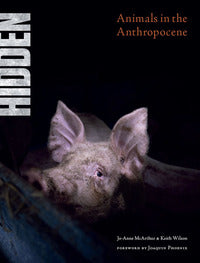 Hidden - animals in the anthropocene 