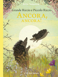 Grande riccio e piccolo riccio - ancora ancora ! 
