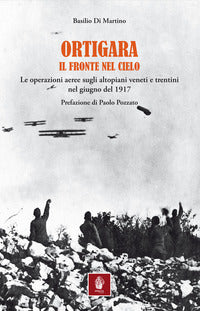 Ortigara il fronte nel cielo - le operazioni aeree sugli altopiani veneti e trentini nel giugno del 