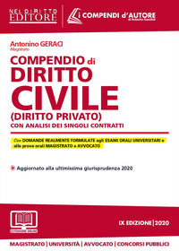 Compendio di diritto civile - diritto privato con analisi dei singoli contrattti 