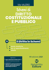 Schemi di diritto costituzionale e pubblico 