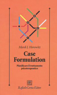 Case formulation 
