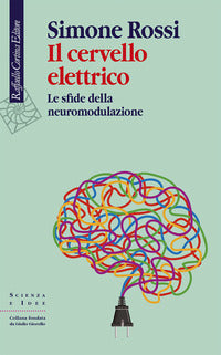 Cervello elettrico - la sfida della neuromodulazione 