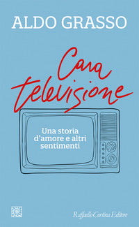 Cara televisione - una storia d'amore e altri sentimenti 