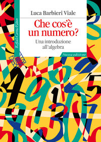 Che cos'e' un numero ? - una introduzione all'algebra 