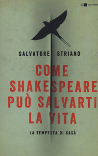 Come shakespeare puo' salvarti la vita - la tempesta di sasa' 