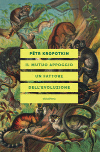 Mutuo appoggio - un fattore dell'evoluzione 