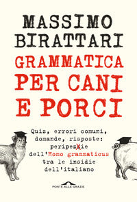 Grammatica per cani e porci - quiz errori comuni domande risposte 