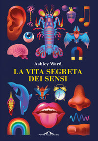 Vita segreta dei sensi 