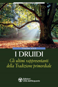 Druidi - gli ultimi rappresentanti della tradizione primordiale 