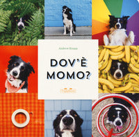 Dov'e' momo ? 