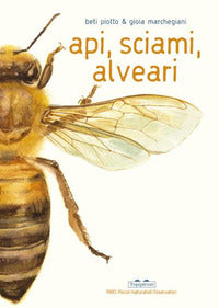 Api sciami alveari 