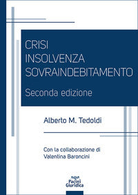 Crisi insolvenza sovraindebitamento 