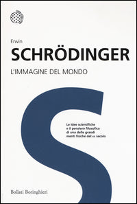 Immagine del mondo 