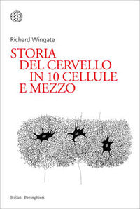 Storia del cervello in 10 cellule e mezzo 