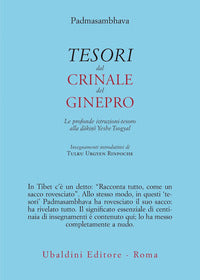 Tesori dal crinale del ginepro - le profonde istruzioni tesoro alla dakini' yeshe tsogyal 