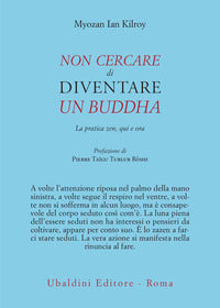 Non cercare di diventare un buddha - la pratica zen qui e ora 