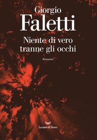 Niente di vero tranne gli occhi 