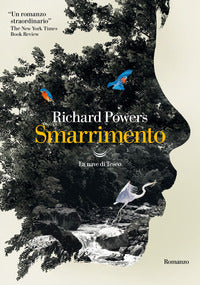 Smarrimento 