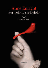 Scricciolo scricciolo 