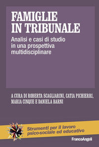 Famiglie in tribunale - analisi e casi di studio in una prospettiva multidisciplinare 