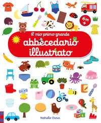 Mio primo grande abbecedario illustrato 
