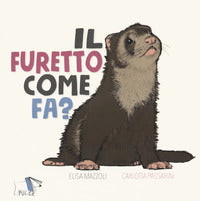 Furetto come fa ? 