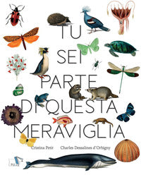 Tu sei parte di questa meraviglia 