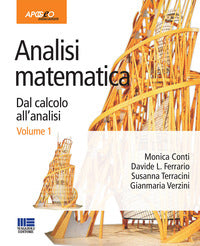 Analisi matematica 1 dal calcolo all'analisi 