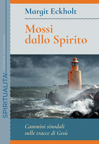 Mossi dallo spirito - cammini sinodali sulle tracce di gesu' 