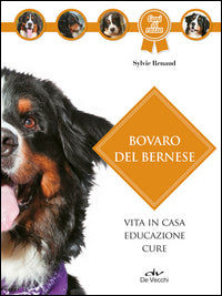 Bovaro del bernese - vita in casa educazione cure 