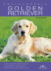 Golden retriever 