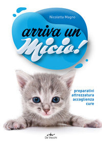 Arriva un micio ! 