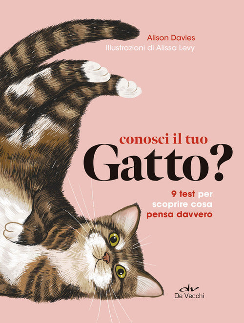 Conosci il tuo gatto ? 9 test per scoprire cosa pensa davvero 
