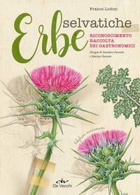 Erbe selvatiche - riconoscimento raccolta usi gastronomici 
