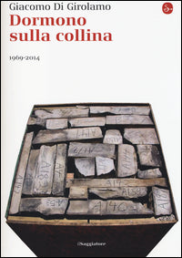 Dormono sulla collina 1969 - 2014 