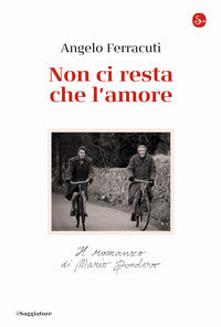 Non ci resta che l'amore - il romanzo di mario dondero 