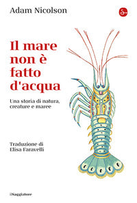 Mare non e' fatto d'acqua - una storia di natura, creature e maree 