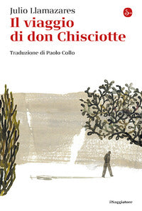 Viaggio di don chisciotte 