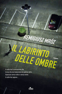 Labirinto delle ombre 
